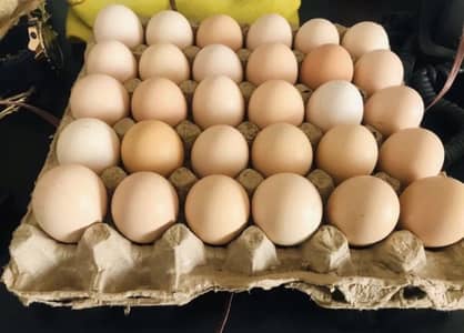 Golden Misri Desi Eggs – Fresh Farm Eggs – Karachi