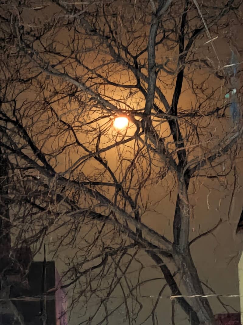 Google Pixel 7 Pro 1