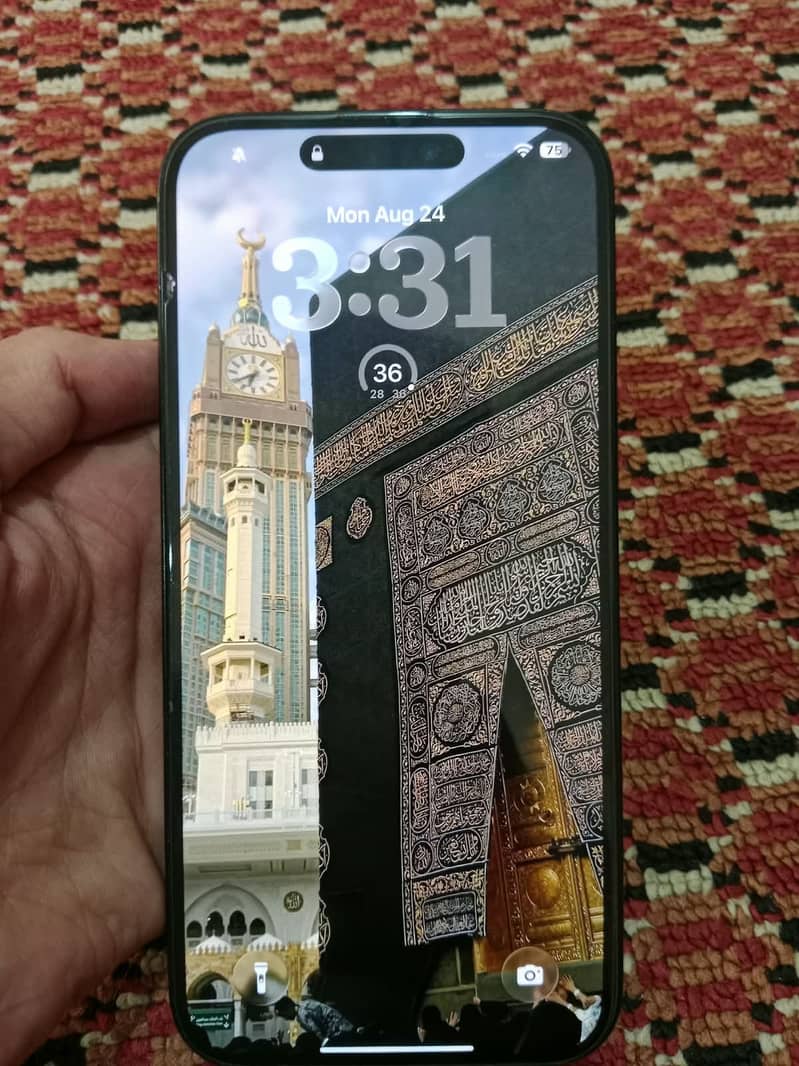 Apple iPhone 16 Pro Max 2
