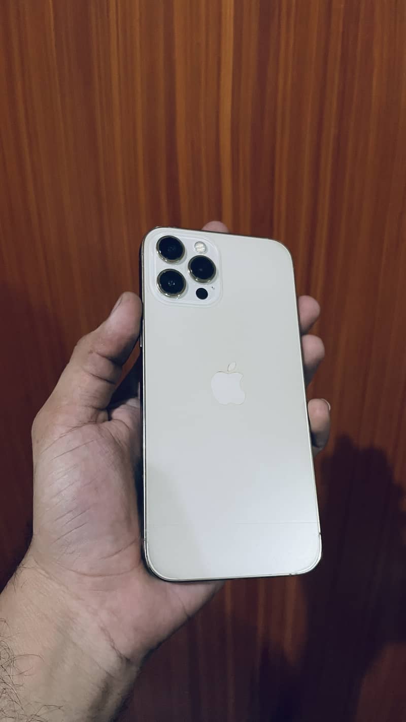 Apple iPhone 12 Pro Max 1