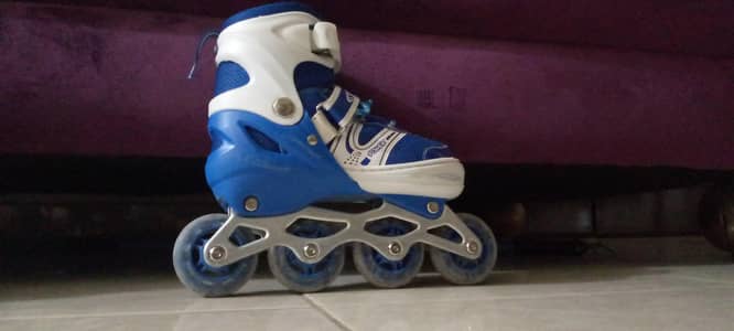 SKATING SHOES FINAL 4599