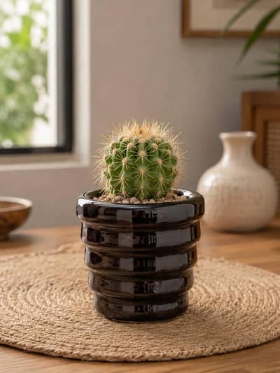  Premium Ceramic Plant Pots | Stylish Home & Garden Decor