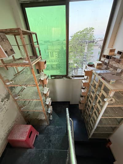 wooden cage