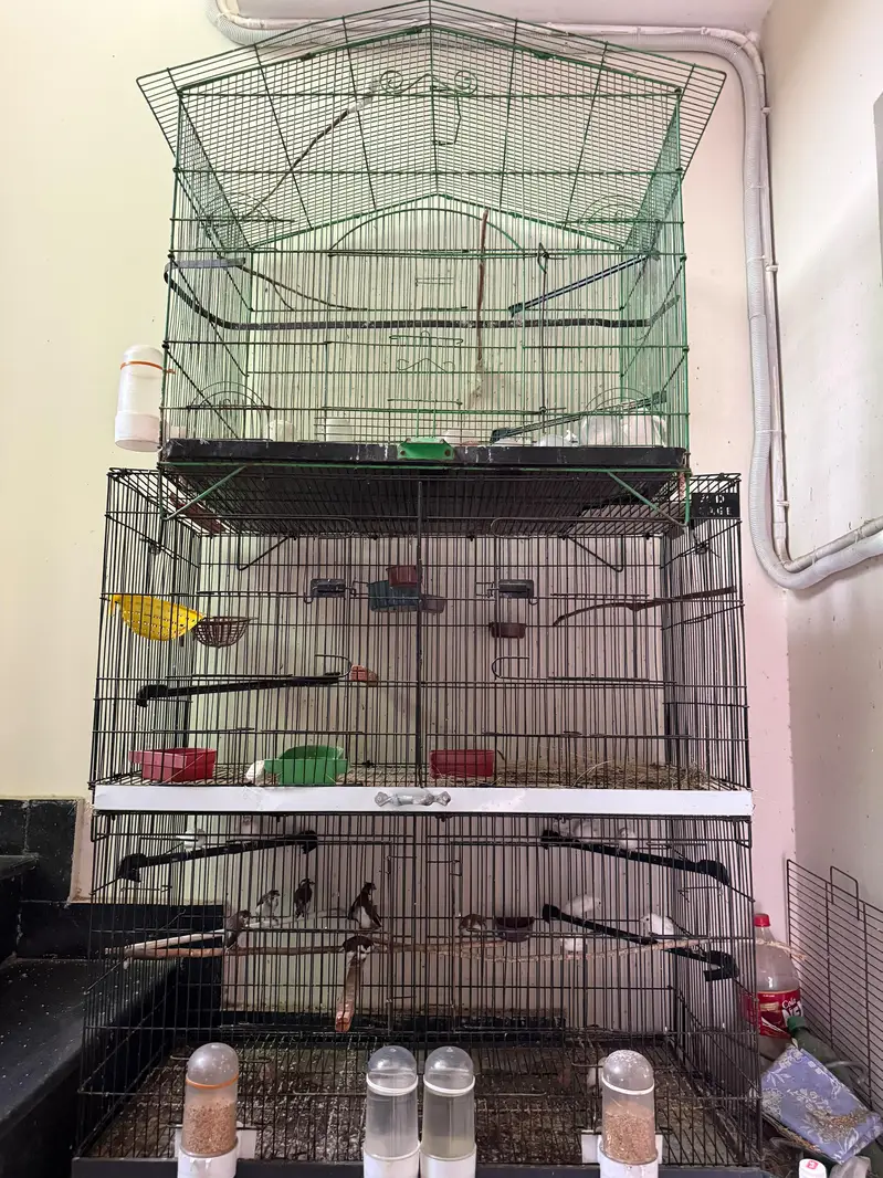 wooden cage — photo 2