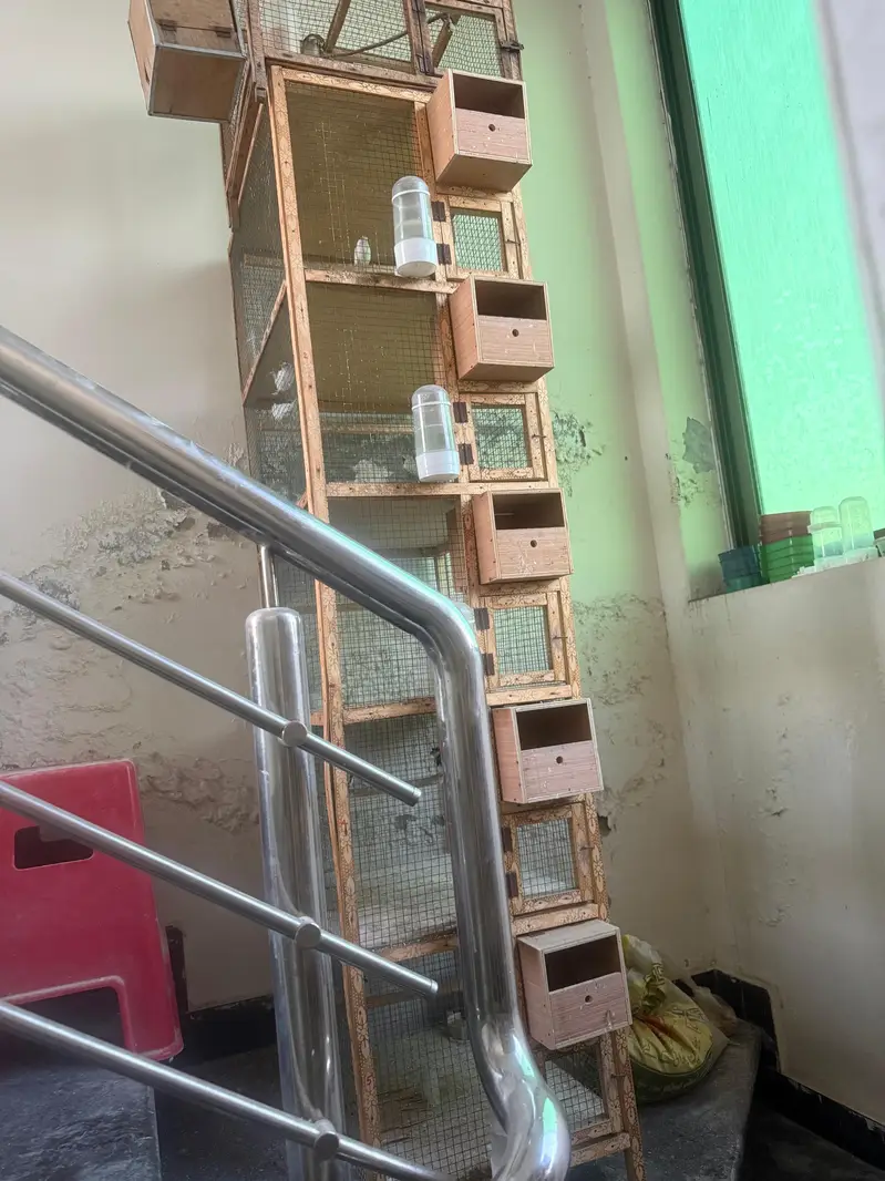 wooden cage — photo 4