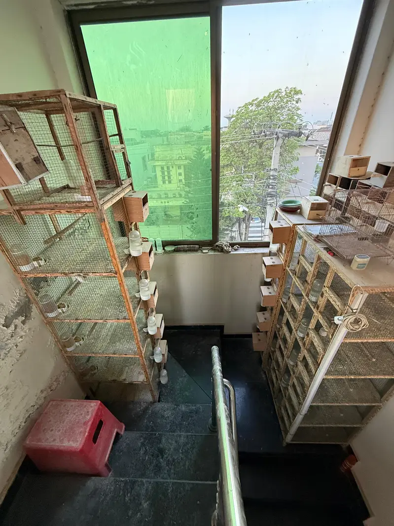 wooden cage — photo 9