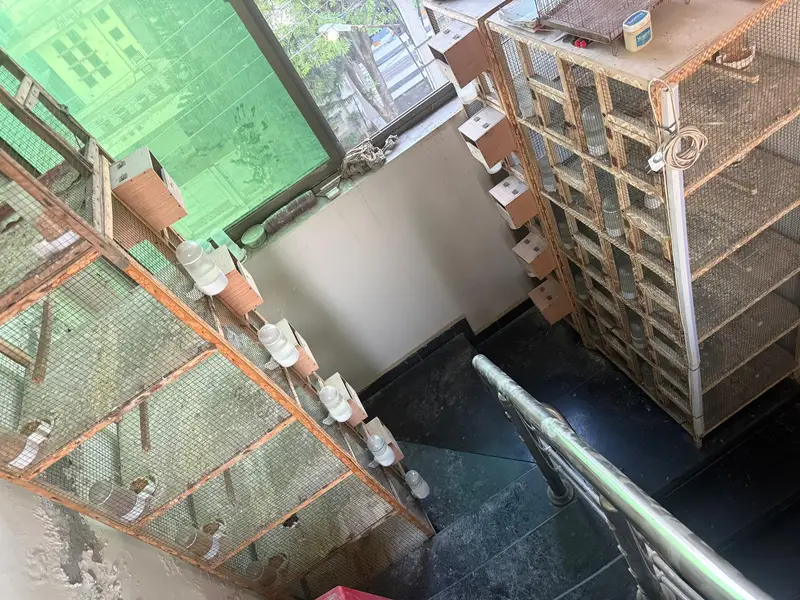 wooden cage — photo 10