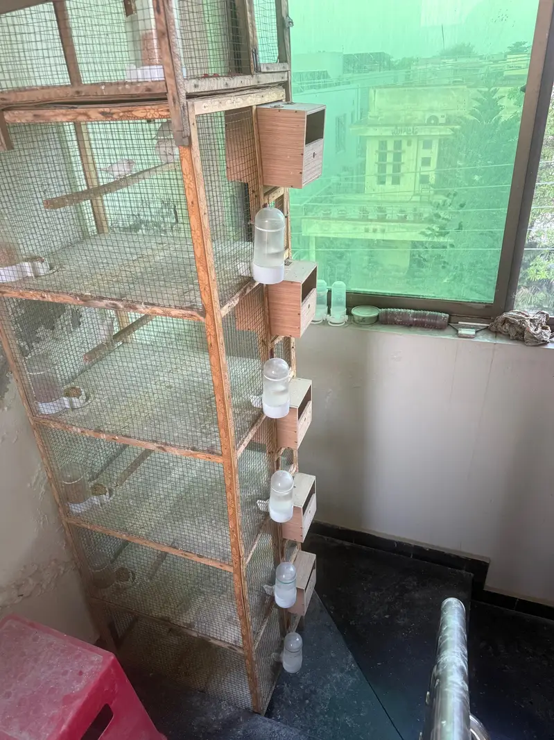 wooden cage — photo 11