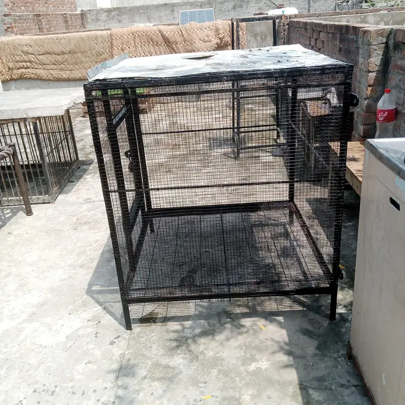 Cage for sale — photo 3