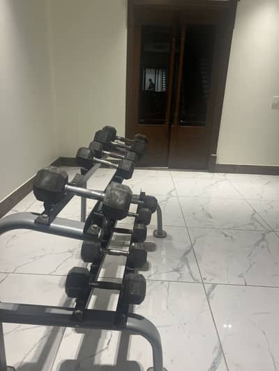 66 KG Hex Dumbbell Set + 2-Tier Rack | 4–10 KG Pairs