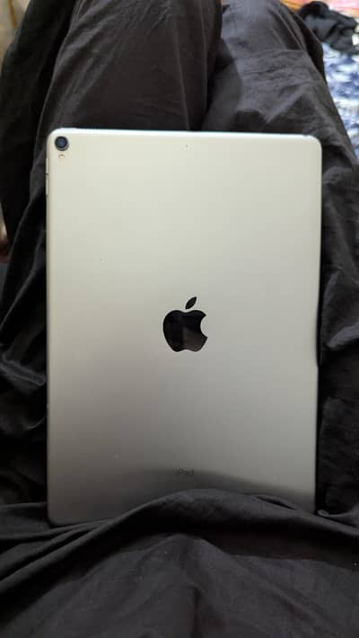 ipad pro 2017 - 256gb - PUBG beast