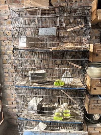 Cages for sale