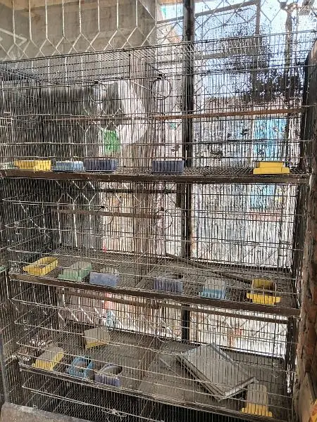 Cages for sale — photo 2