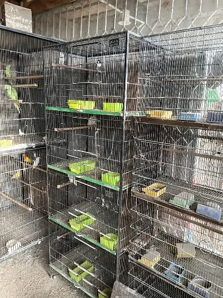 Cages for sale — photo 3
