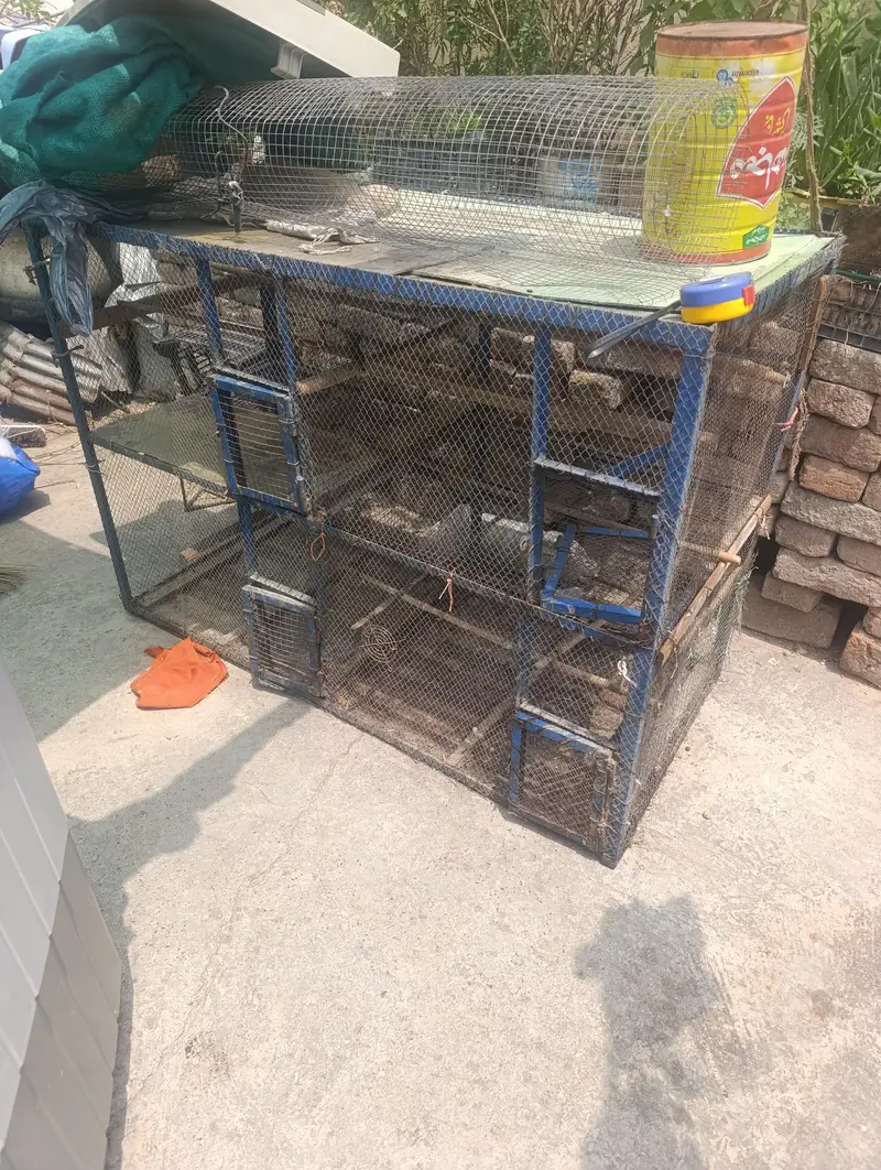 Iron 4 Portion Cage — photo 2