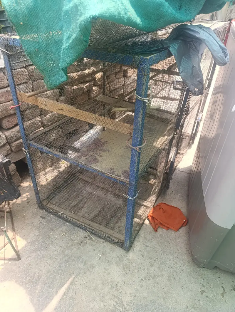Iron 4 Portion Cage — photo 3
