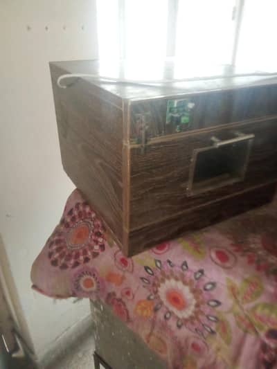 incubator fresh urgent sale