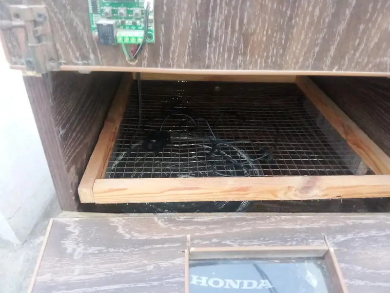 incubator fresh urgent sale — photo 4