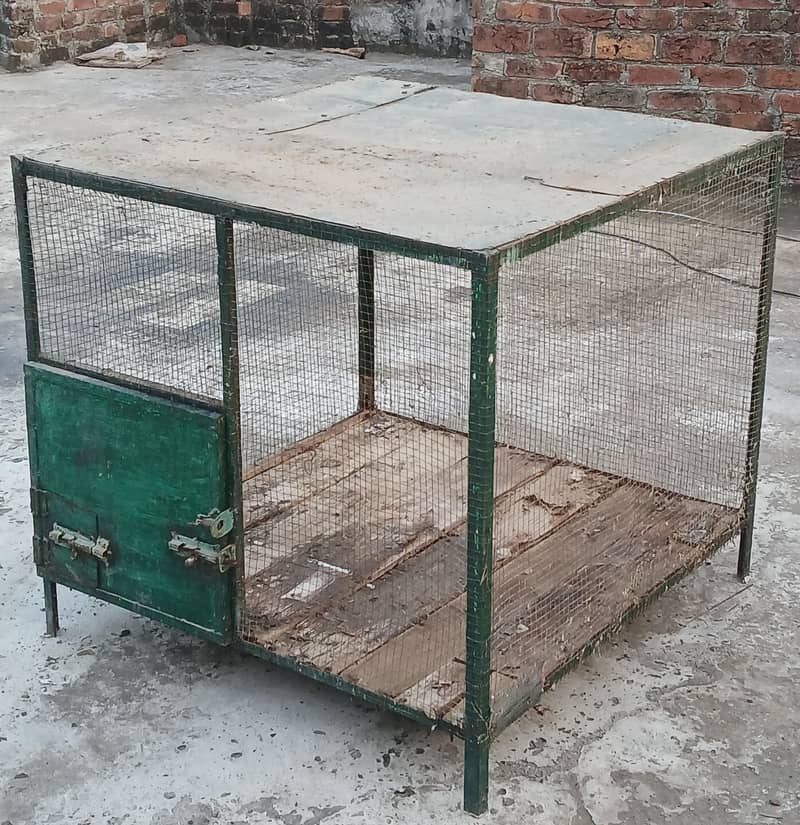 Big Master cage 1