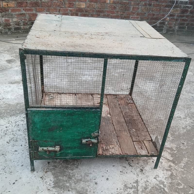 Big Master cage 2