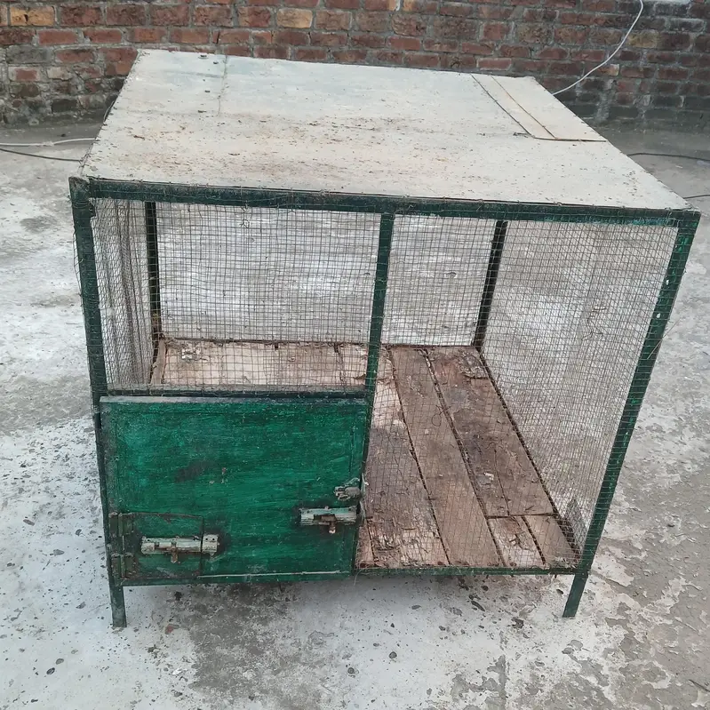 Big Master cage — photo 3