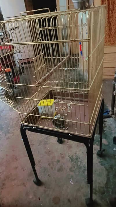 raw parrot cage