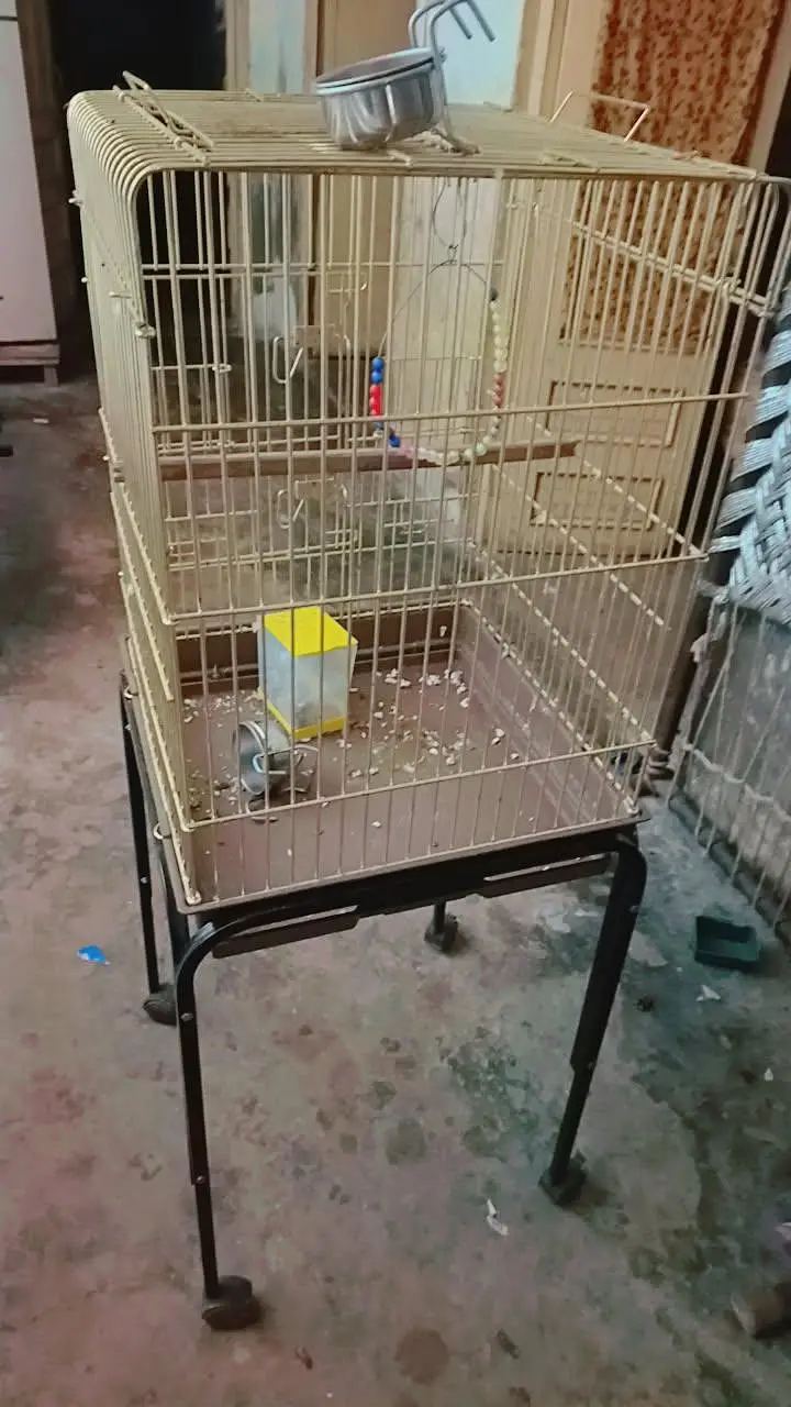 raw parrot cage — photo 2