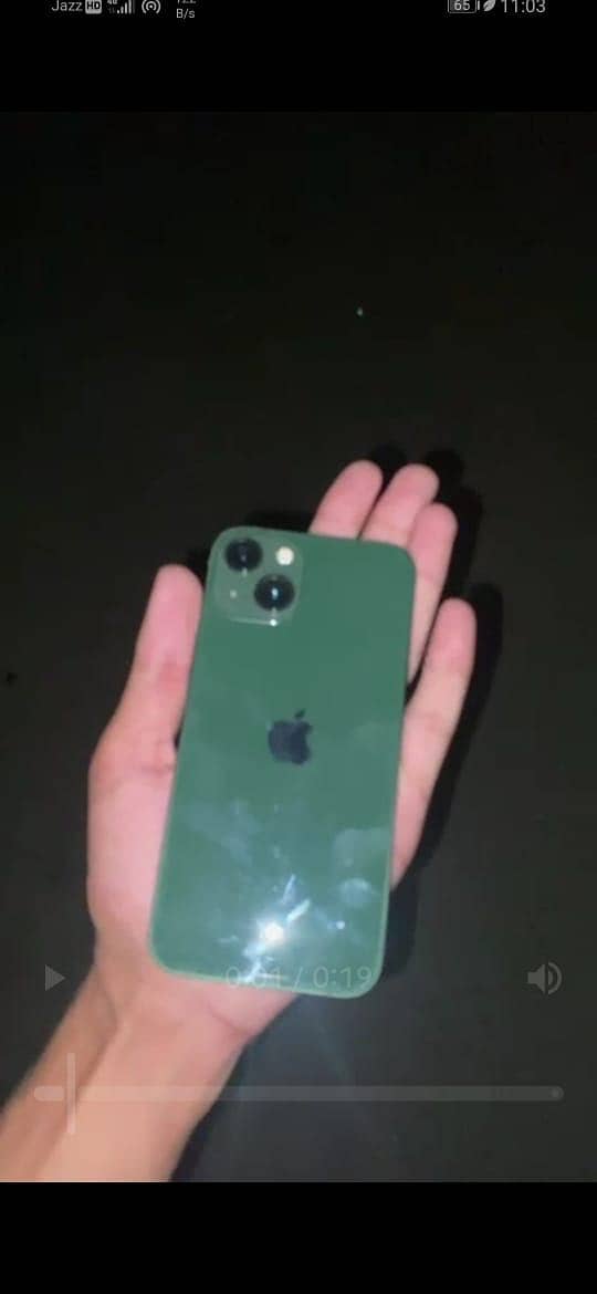 Apple iPhone 13 0