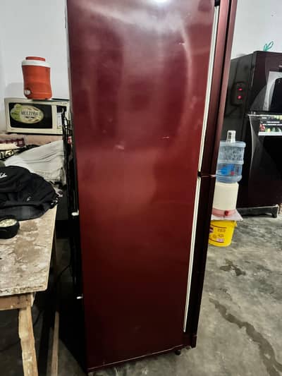 Pel Glass door frige for sale full size