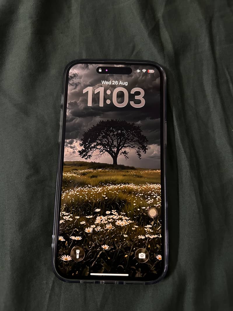 Apple iPhone 15 Pro Max 1