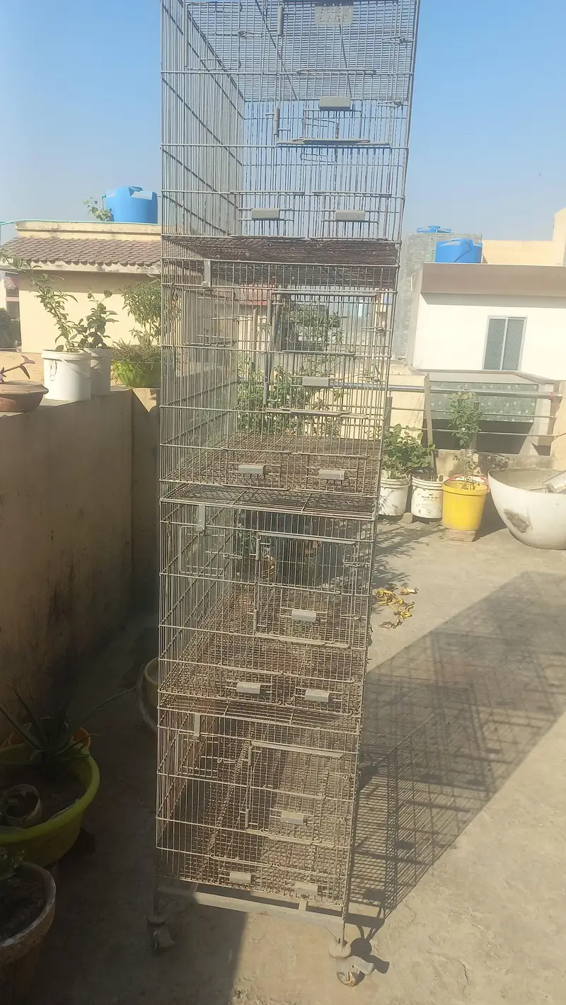 4 Portion Ali Cage 1.5 × 1.5 × 2.5 Feet for SALE!!! — photo 2