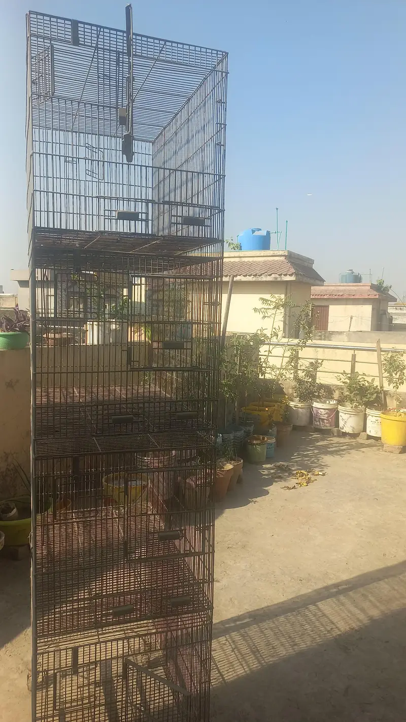 4 Portion Ali Cage 1.5 × 1.5 × 2.5 Feet for SALE!!! — photo 3
