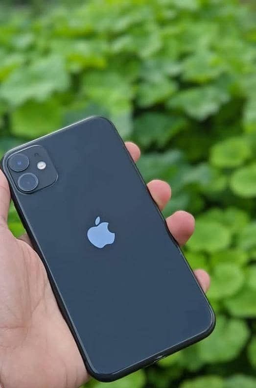 Apple iPhone 11 0