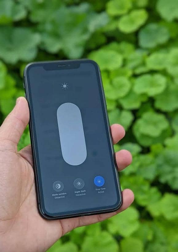 Apple iPhone 11 1