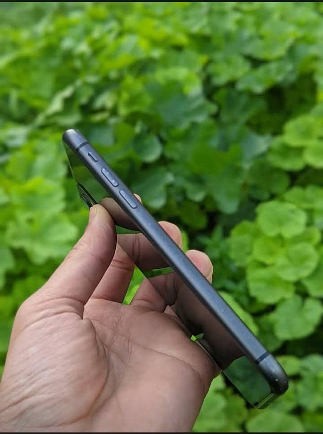 Apple iPhone 11 2