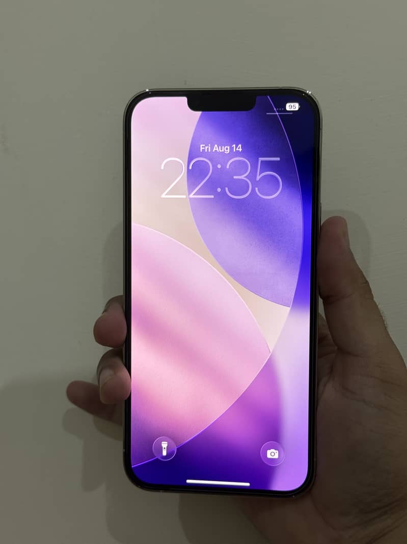Apple iPhone 13 Pro Max 1