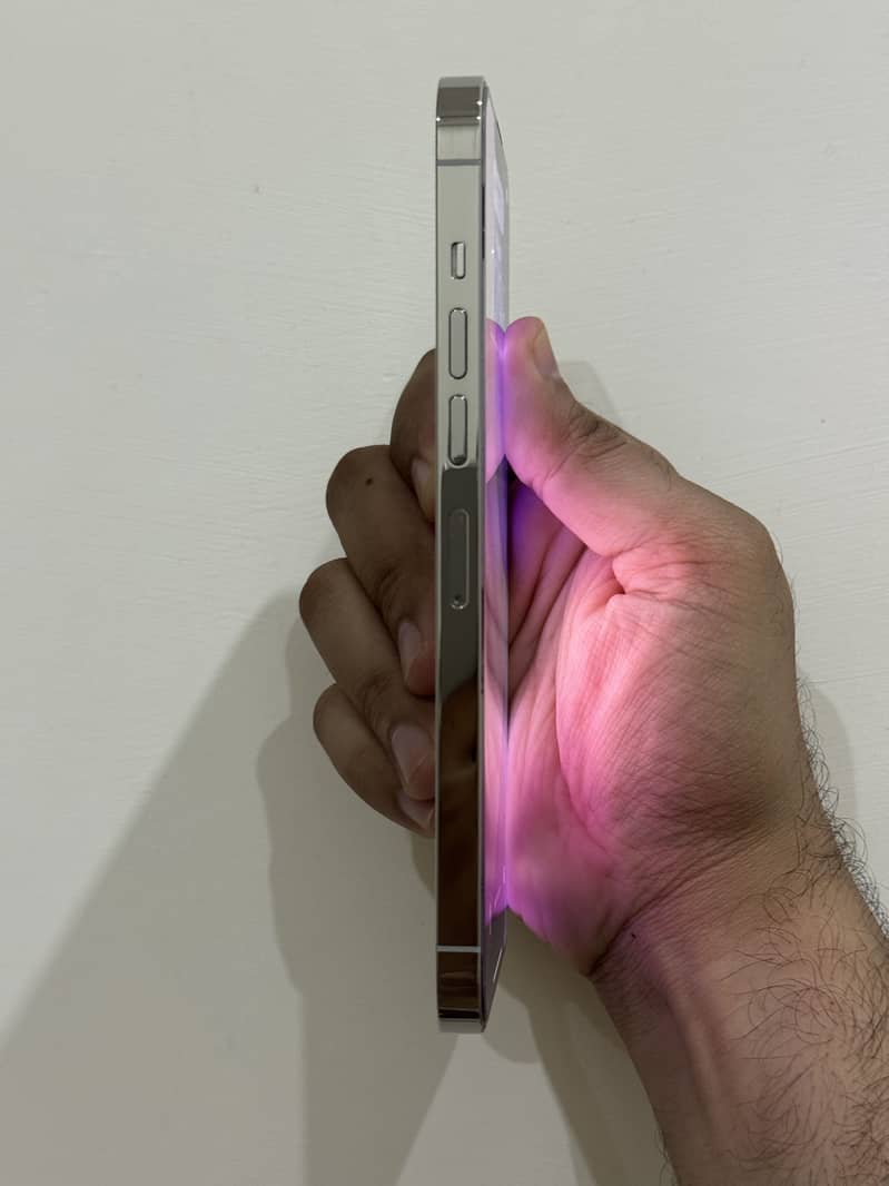 Apple iPhone 13 Pro Max 2