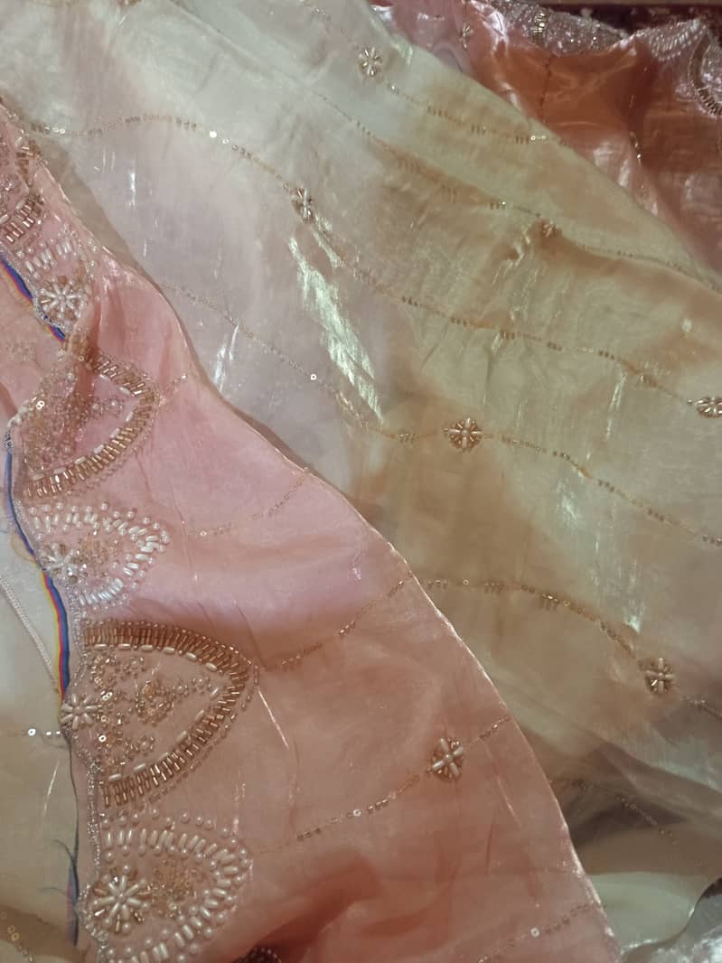 Lehenga 3