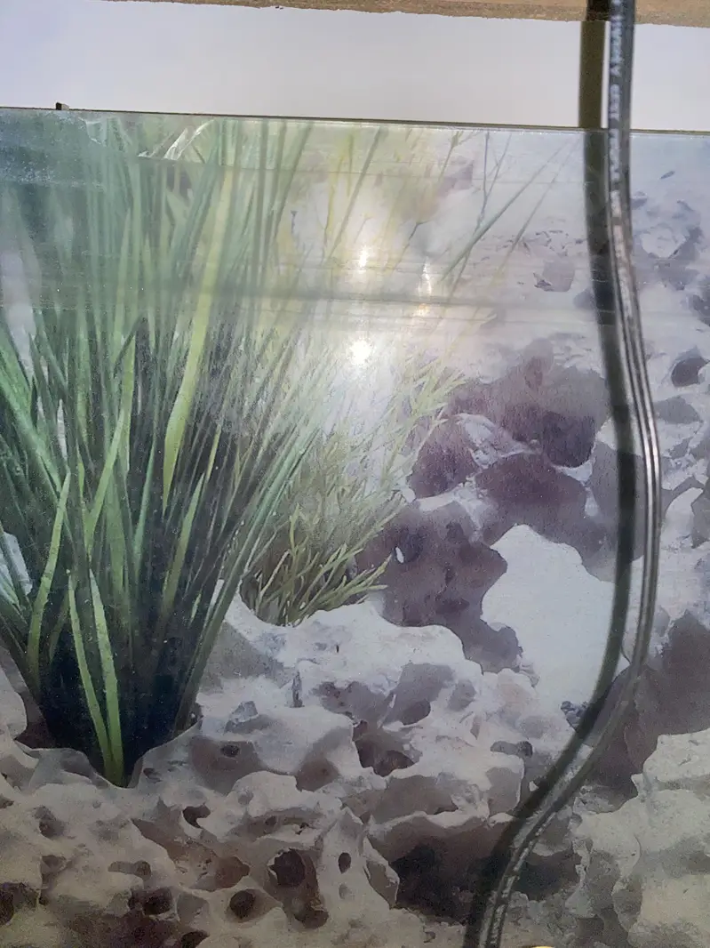 Used fish aquarium — photo 3