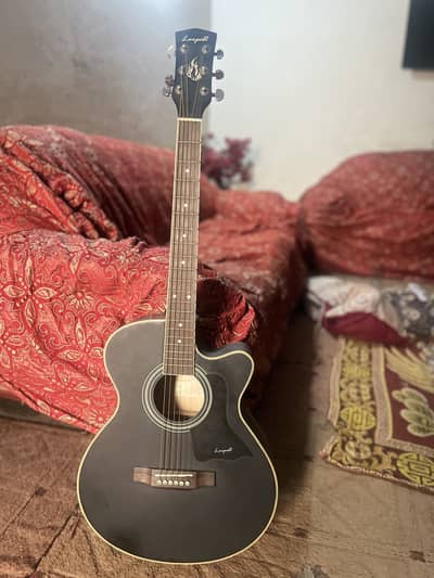 Pure wood guitar