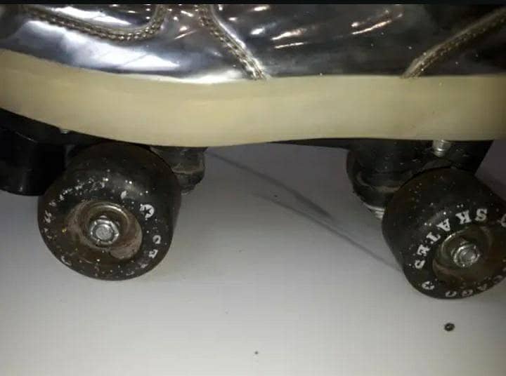 professional skates 1