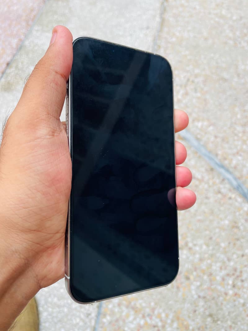 Apple iPhone 13 Pro Max 2