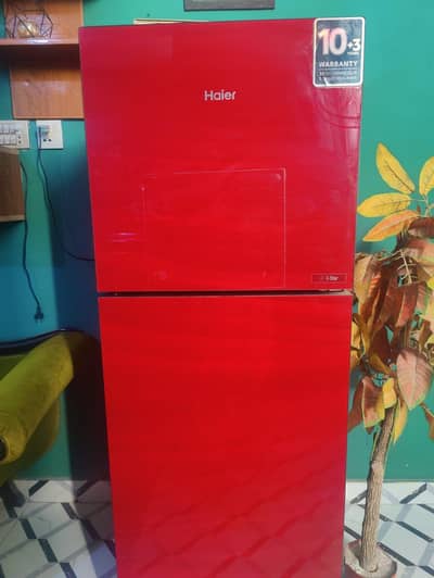 hair fridge