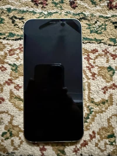 Apple iPhone 12 Pro Max