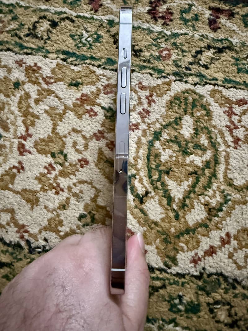Apple iPhone 12 Pro Max 2