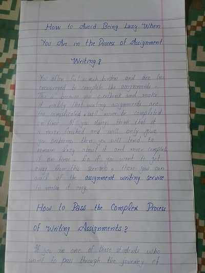 assignment writer