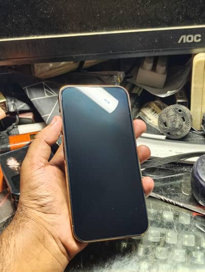 Apple iPhone 13 Pro Max