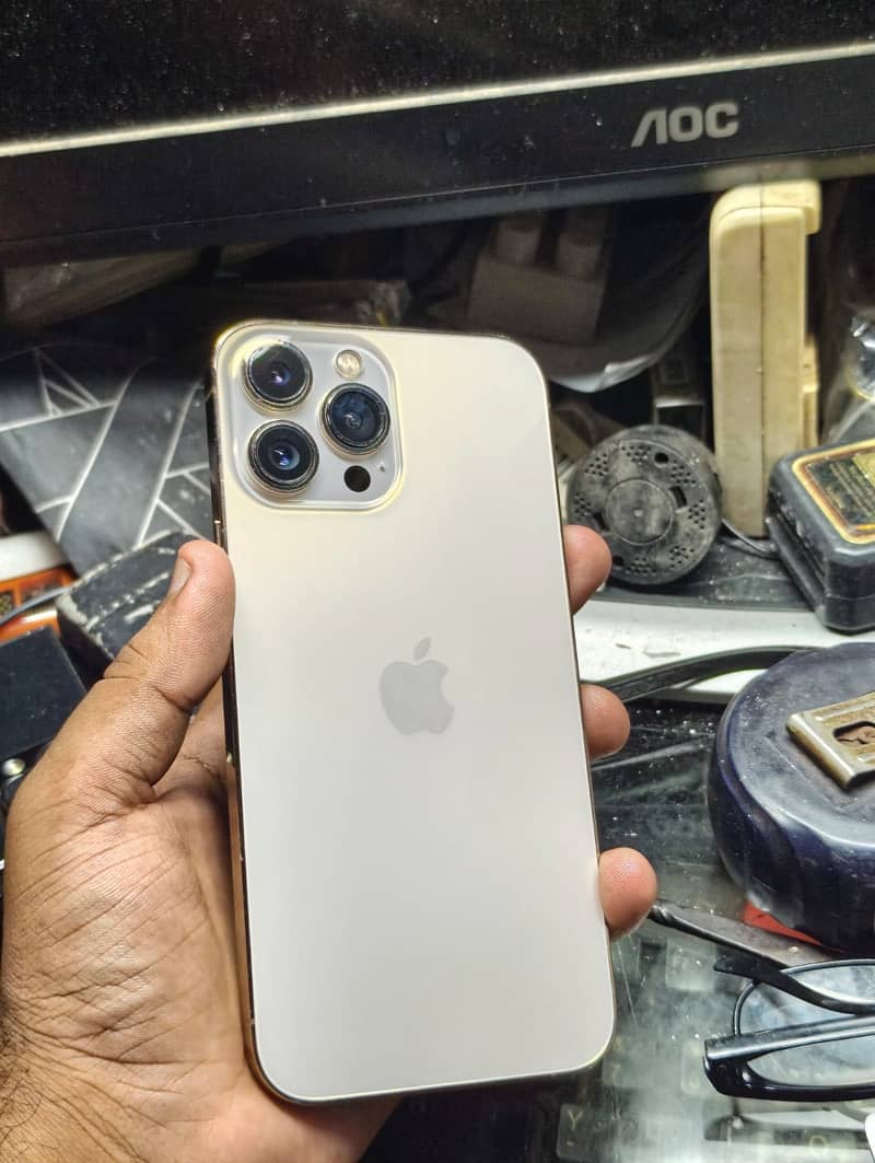 Apple iPhone 13 Pro Max 1