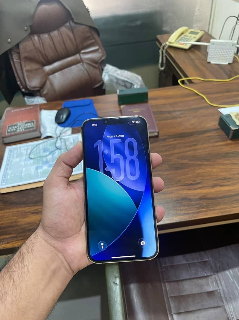 Apple iPhone 13 Pro Max 3