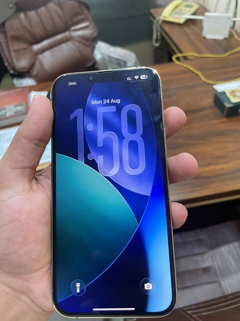 Apple iPhone 13 Pro Max 6